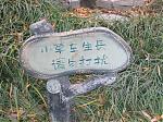 wintery's Avatar