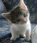 winterale's Avatar