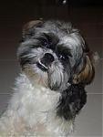 Crabbie's Avatar