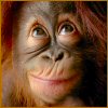 tedi73's Avatar